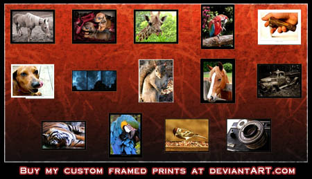 Buy all my prints in all sizes and with custom frames (and other cool items) at deviantART.com! Click here now!